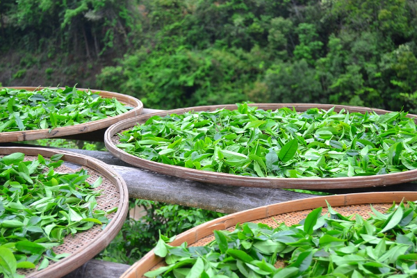 食品營(yíng)銷(xiāo)策劃