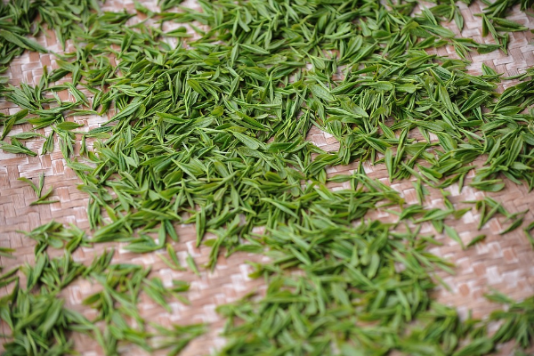 食品營(yíng)銷(xiāo)策劃