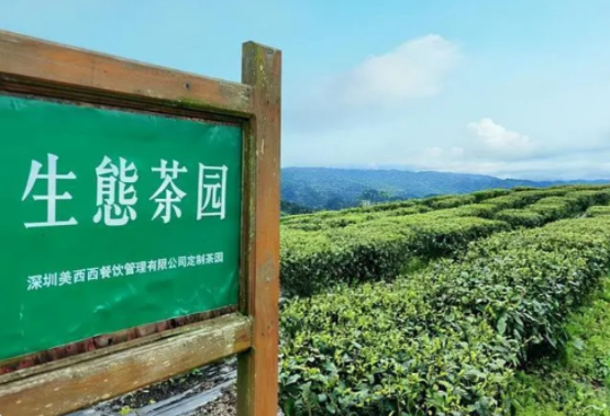 喜茶品牌營銷策劃
