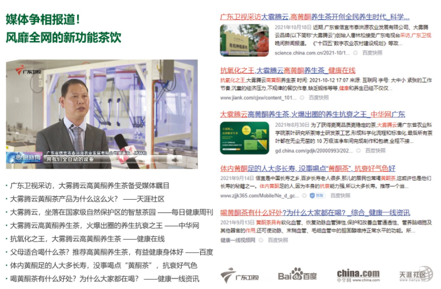 大霧騰云茶葉品牌營(yíng)銷策劃