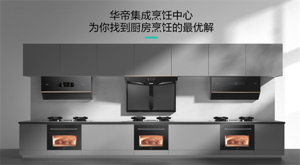 華帝電器品牌營(yíng)銷(xiāo)策劃