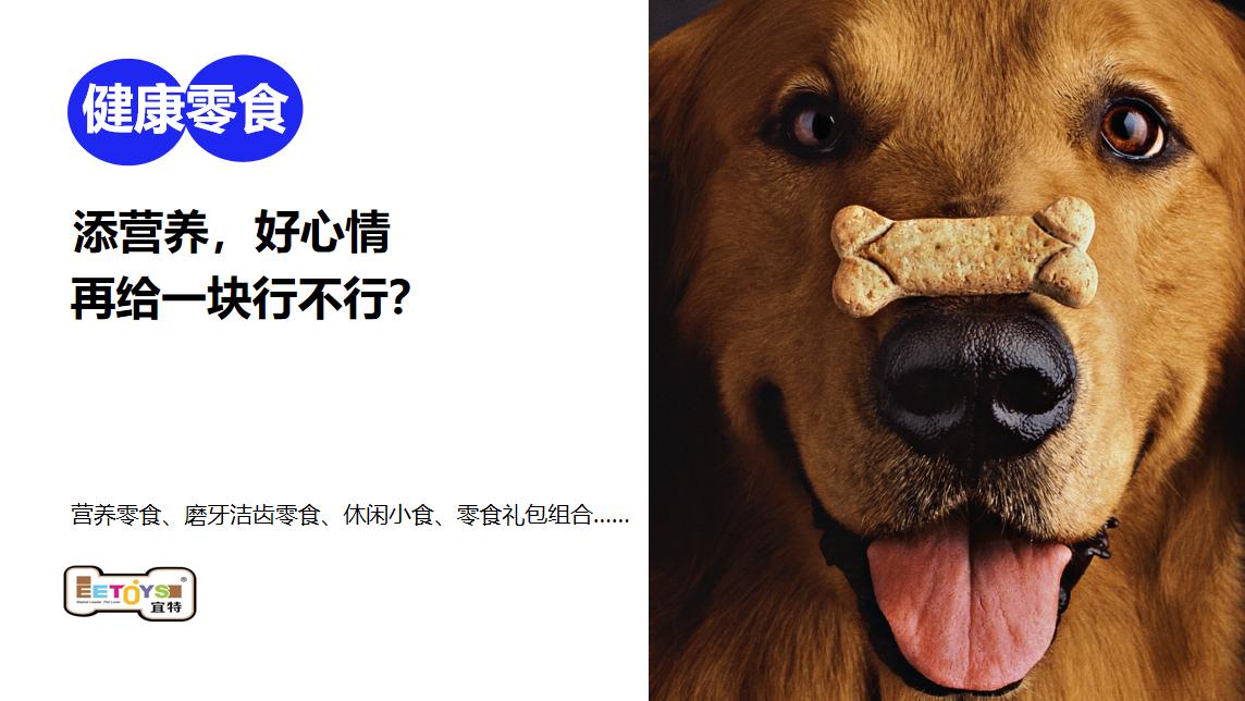 宜特寵物用品品牌營銷策劃案例