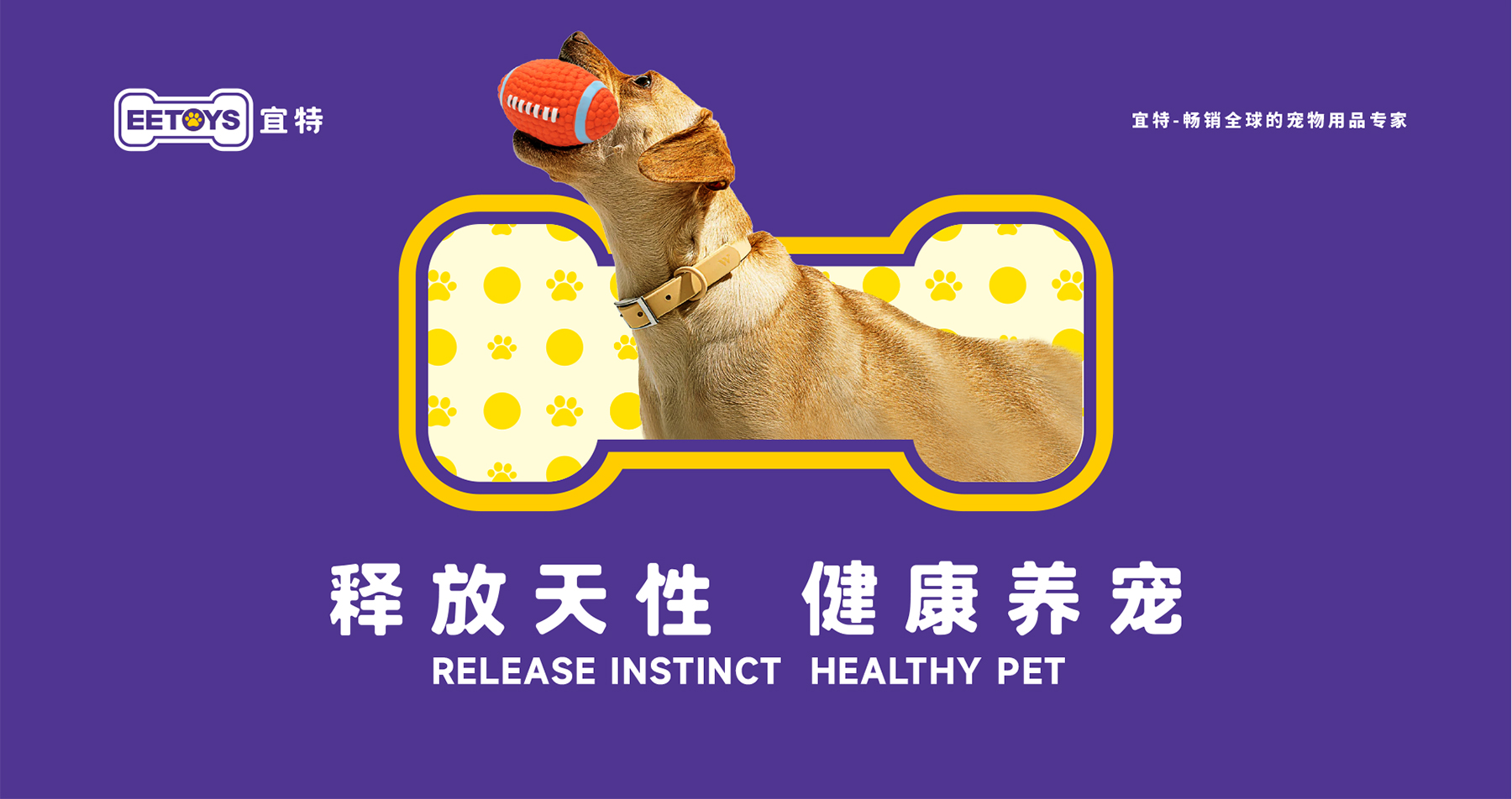 宜特寵物用品品牌營銷策劃案例