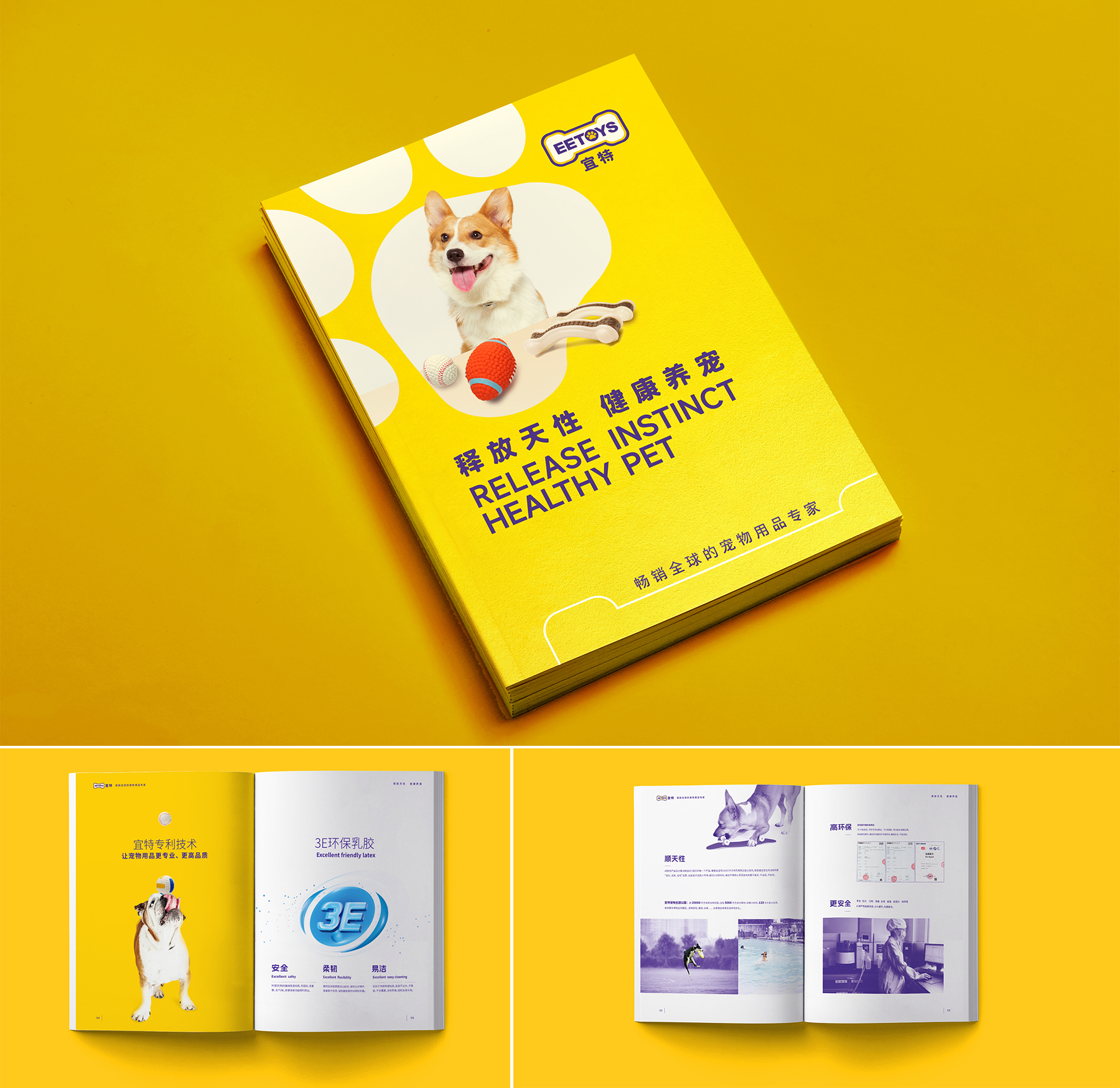 宜特寵物用品品牌營銷策劃案例