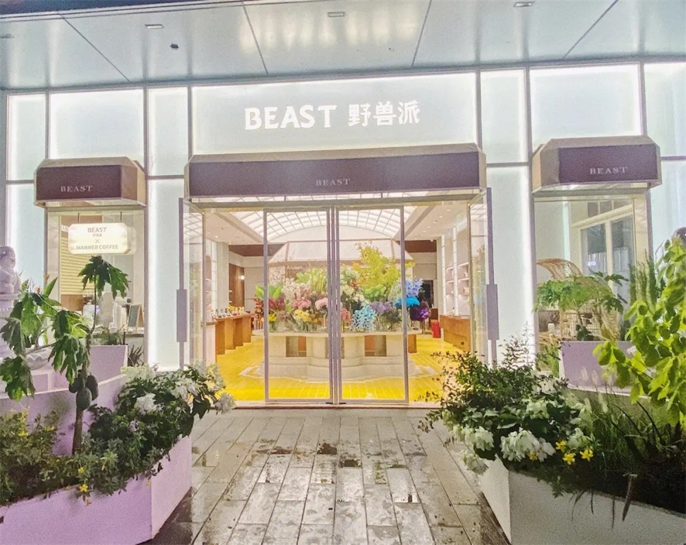 野獸派營(yíng)銷策劃案例分析